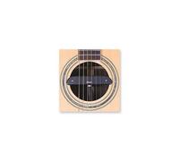 Shadow Micros pour guitares acoustiques 141