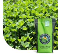 Micro-trèfle - 5 kg pour 1.500 m² - Résistant à la sécheresse - Pelouse extra dense et verte sans mousse - Libération lente d’azote - Faible besoin en entretien