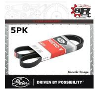 Micro V Côtelé Lecteur Ceinture - 5PK1390 - Pour Citroen XM (Y3) 1989-1994