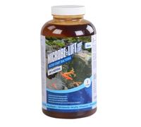 Microbe Lift Filterstarter 1 L Bactéries de filtration haute performance pour filtres de bassin