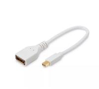 MicroConnect - Adaptateur DisplayPort - DisplayPort (F) pour Mini DisplayPort (M) - 15 cm - blanc