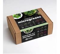 Microgreens Piante Da Interno Multicolore
