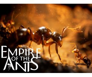 Microids Empire Of The Ants Standard Arabe, Chinois simplifié, Chinois traditionnel, Allemand, Anglais, Espagnol, Français, Italien, Japonais, Coréen, Polonais, Portugais, Russe PlayStation 5