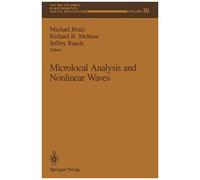 Microlocal Analysis And Nonlinear Waves