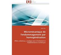 Micromécanique De L''endommagement Par Homogénéisation