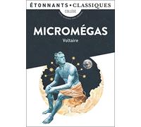 Micromégas