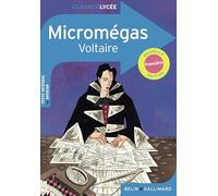Micromégas