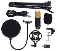 Microphone à condensateur Professionnel pour Studio avec Support, Filtre Anti-, Bouchon en Mousse, Adaptateur USB pour Enregistrement de Studio Diffusion Youtube Live Stream BM800