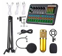 Microphone avec support pliable en métal, bras contractés, double ressort de suspension, flexible à 360 degrés, support anti-choc, port pour diffusion, scènes, chaînes de télévision