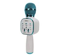 Microphone Bluetooth sans Fil Microphone de karaoké en Métal avec Haut-Parleur 5 W Batterie 2000 MAh Réverbération Sonore pour l'enregistrement de Chant en Direct