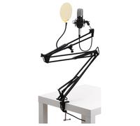 Microphone Condensateur Micro Studio Enregisteur Kit Bras Suspension Filtre Noir