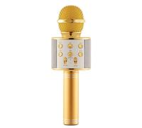 Microphone de chant sans fil Portable WS858, haut parleur intelligent, pour la maison, KTV, fête en plein air