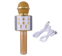 Microphone de karaoké sans fil portatif, Bluetooth, avec haut-parleur, lecteur et enregistreur, qualité professionnelle