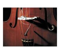 Full Cirle Format 1/4-20