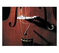 Microphone Fishman Full Circle Format 1/4-20