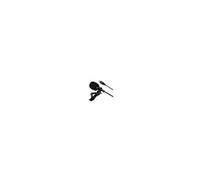 Microphone Lavalier Type-C 2m Pour Vidéo Enregistrement TikTok YouTube Zoom