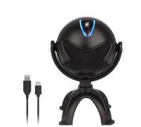 Microphone Portable filaire à main en métal, accessoire de microphone à condensateur Durable, Port de Type C, câble USB