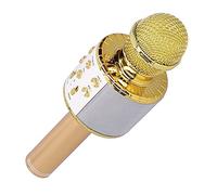 Microphone Portable, Prix en Charge du Microphone de Chargement sans Fil USB pour Les Fêtes et Les Réunions