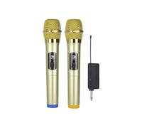 Microphone Sans Fil 1 à 2 avec Récepteur Rechargeable UHF Dynamique Portatif pour Fêtes, Églises, Spectacles et Réunions