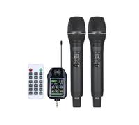 Microphone Sans Fil à 2 Canaux, Fréquence Fixe, pour Fêtes, Karaoké, Spectacles Professionnels, Églises et Réunions