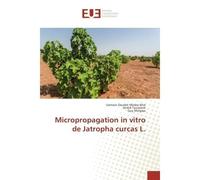 Micropropagation in vitro de Jatropha curcas L. - Samson Mve, - Universitaires Europeennes - broché - Essai