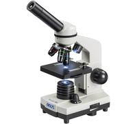 Microscope BioLight 100 Delta Optical - white