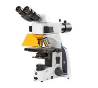 Microscope Euromex iScope IS.3153-PLi/TB, trino, HF, FL, INFINITY, plan, 40x-1000x, 10x/22 mm, iCare, 3 W, LED