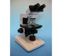 Microscope Hund H 600 Wilozyt Plan, bino, ph, 100x, - 1000x