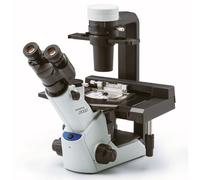 Microscope inversé Evident Olympus CKX53, trino, 100x, 200x, 400x, IPC/IVC x/y-stage