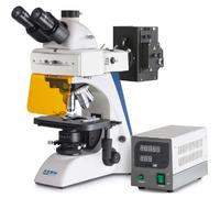 Microscope Kern Trino Inf Plan 4/10/20/40/100, WF10x20, 3W LED FL (B/G), OBN 141