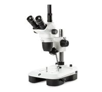 Microscope stéréo zoom Euromex NZ.1703-M, 6.5-55x, Colonne, Lumière incidente et transmise, trino, Miroirs pour fond noir, Embryologie
