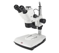 Microscope stéréo zoom Motic SMZ171-TLED trinoculaire