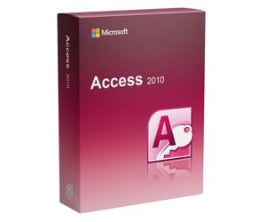 Microsoft Access 2010