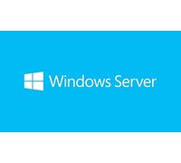 Microsoft COEM SB Win Server Cal 2019 D
