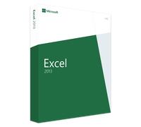 Microsoft Excel 2013