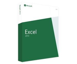 Microsoft Excel 2013