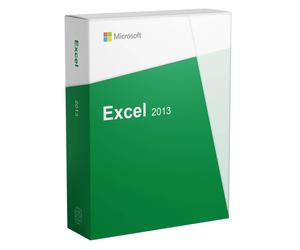 Microsoft Excel 2013