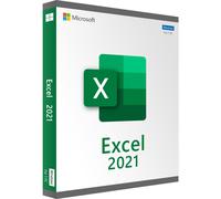 Microsoft Excel 2021