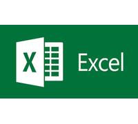 Microsoft Excel 2025 - Licence 1 An - Pc/Mac