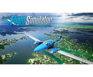 Microsoft Flight Simulator (PC)