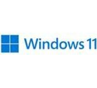 Microsoft MS SB Windows 11 Pro 64bit[SW] DVD+++ - système d'exploitation