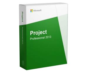 Microsoft Project 2013 Professionnel