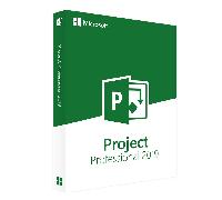 Microsoft Project 2019 Professional