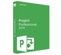Microsoft Project Professional 2019