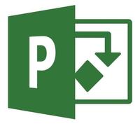 Microsoft Project Professional 2019 Licence 1 PC téléchargement ESD Click-to-Run Win All Languages zone euro