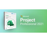 Microsoft Project Professional 2021