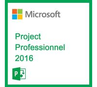 Microsoft Project Professionnel 2016