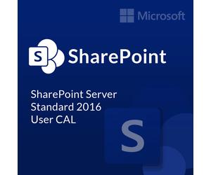 Microsoft SharePoint Server 2016 Standard User CAL
