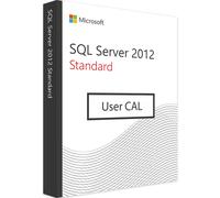 Microsoft SQL Server 2012 Standard - 1 User CAL