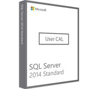 Microsoft SQL Server 2014 Standard - 1 User CAL